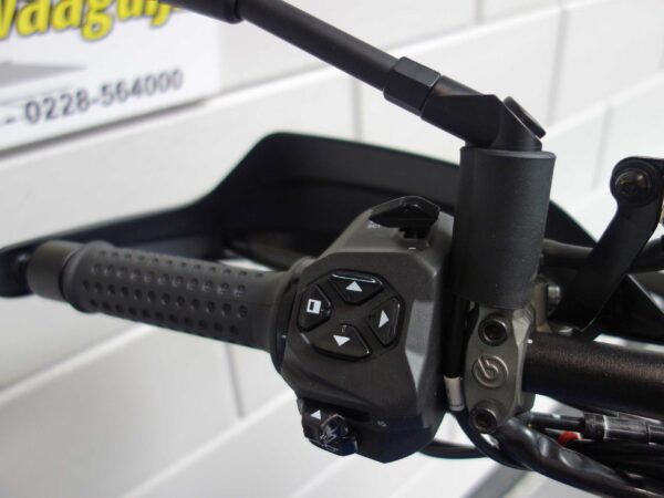 MOTO GUZZI Stelvio Duecento Tributo - Afbeelding 12