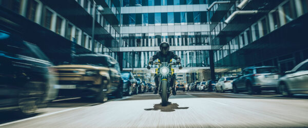 HUSQVARNA Vitpilen 801 - Afbeelding 14