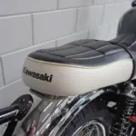 Nieuwe Kawasaki naked bike met 233cc motor uit 2026 bij NIWA Motoren