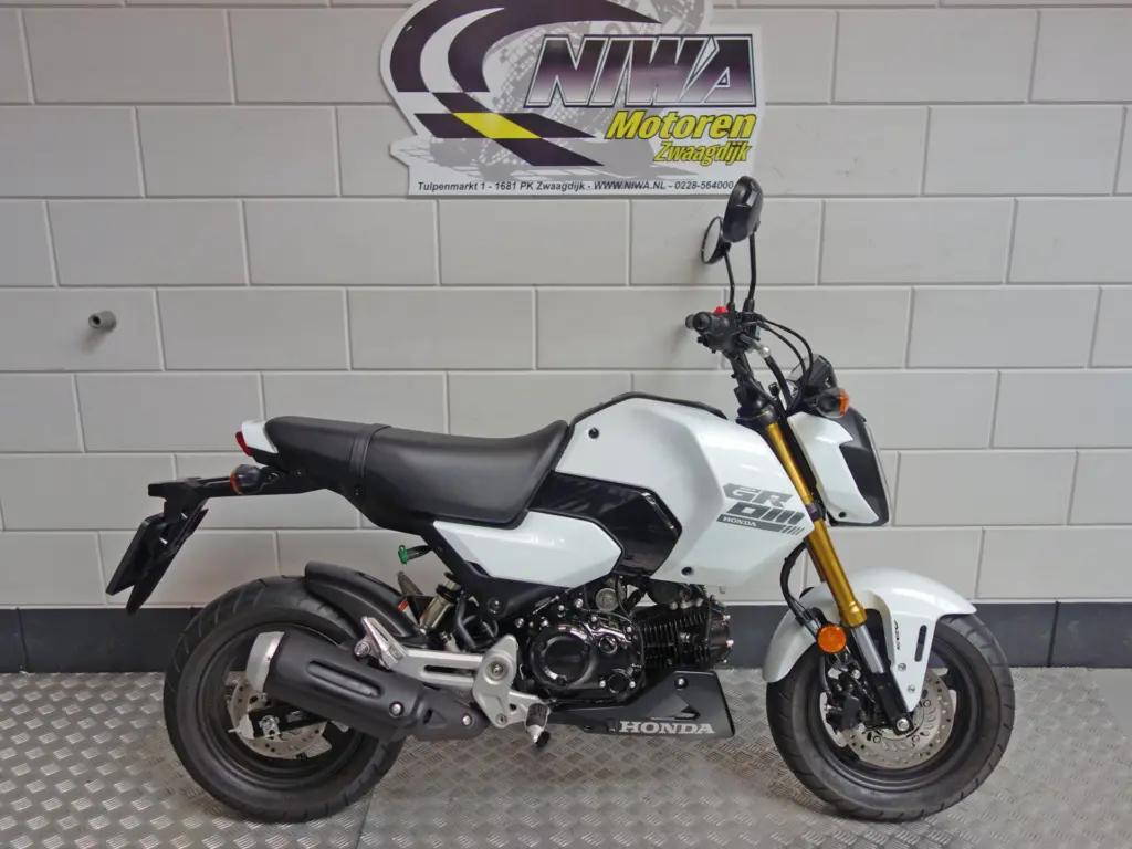Gebruikte Honda MSX 125 tour met 124cc motor uit 2025 bij NIWA Motoren