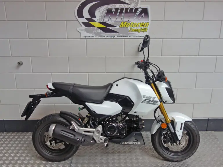 Honda MSX 125 Grom bij NIWA Motoren