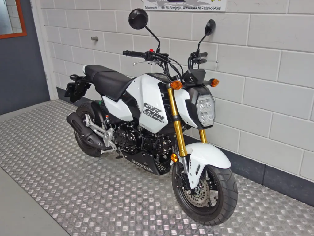 Gebruikte Honda MSX 125 tour met 124cc motor uit 2025 bij NIWA Motoren