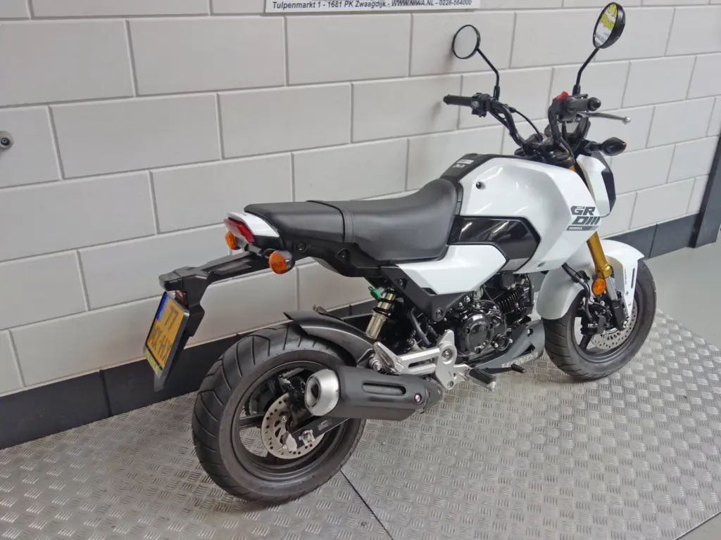 Gebruikte Honda MSX 125 tour met 124cc motor uit 2025 bij NIWA Motoren