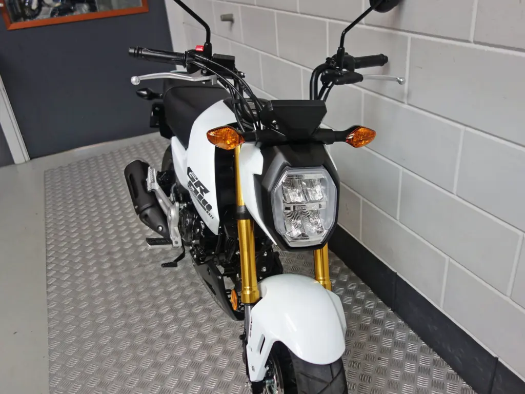 Gebruikte Honda MSX 125 tour met 124cc motor uit 2025 bij NIWA Motoren